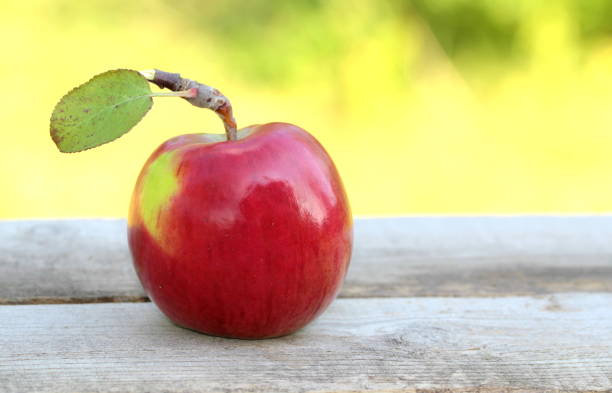 istock Red, fresh and organic apple on wooden table 847199074
