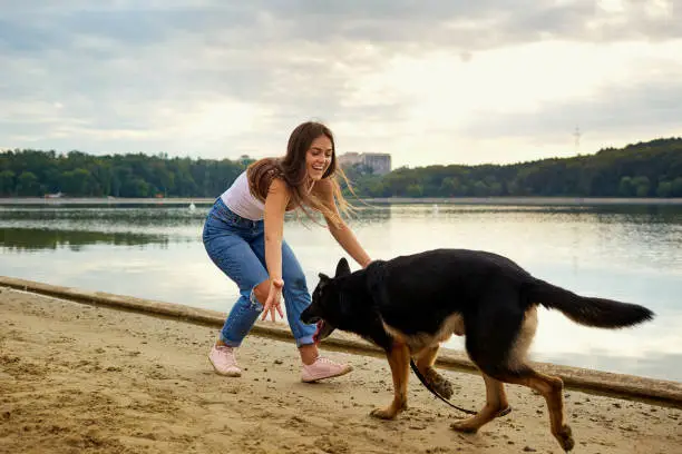A girl is playing with her dog in the park on the summer beach. German Shepherd with a young woman.