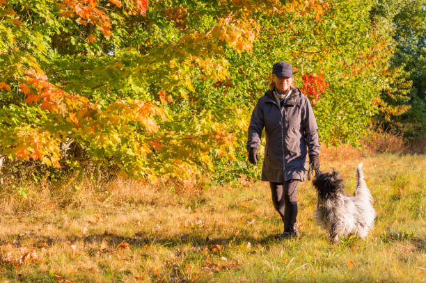 istock Woman walking dog in bright fall colors 847206784