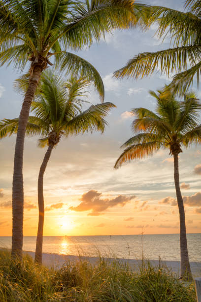 istock Sunrise on the Smathers beach 847208128