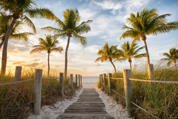 istock Footbridge to the beach 847208338