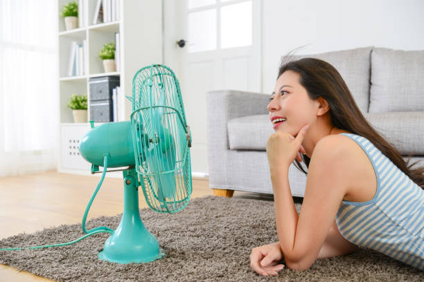 istock smiling happy housewife enjoying cool wind 847214308