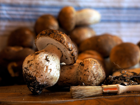 Mushrooms to be cleaned on wooden board