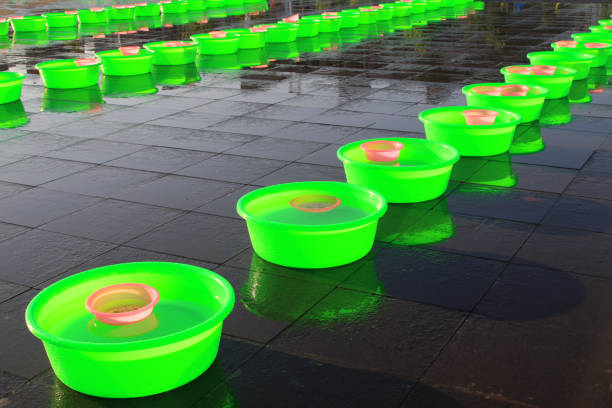 Green plastic basin are arranged on the ground