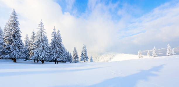 istock Spectacular panorama is opened on mountains,  trees covered with white snow,  lawn and blue sky with clouds. 847227038