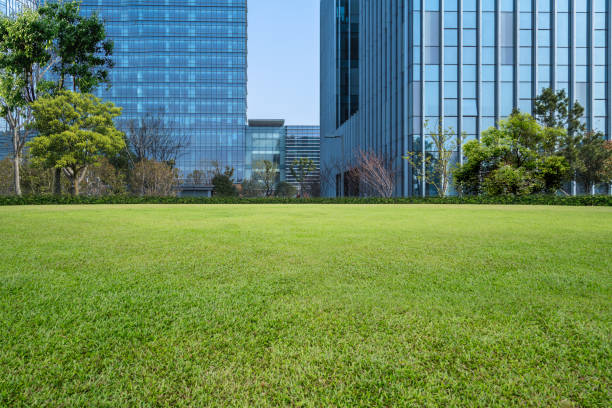 istock Buildings and green lawn 847227256
