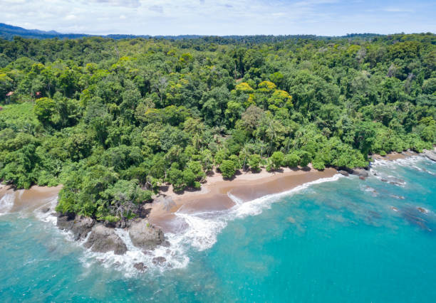 istock Corcovado National Park, Costa Rica 847227294