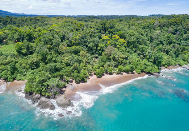 Corcovado National Park, Costa Rica Aerial Panorama of the beautiful Beaches of the Corcovado National Park, Costa Rica. A nature reserve on southwest Costa Rica's Osa Peninsula that protects varied tropical ecosystems. Considered one of the world's most biodiverse regions. Cocalita Beach. corcovado stock pictures, royalty-free photos & images