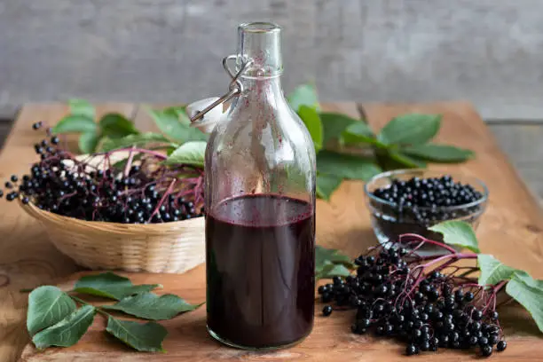 A bottle of elderberry syrup on a wooden table, with fresh elderberries in the background