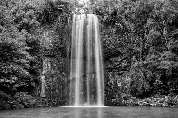 istock Millaa Millaa Falls, Queensland, Australia 847237876