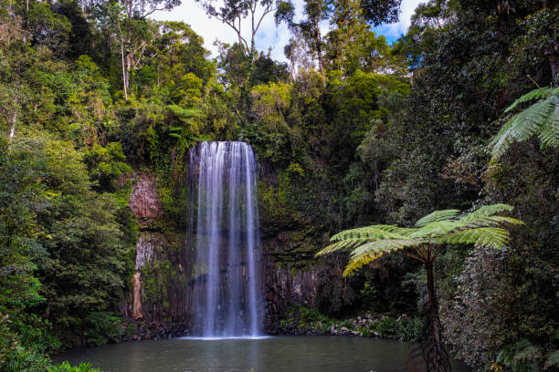 istock Millaa Millaa Falls, Queensland, Australia 847238474