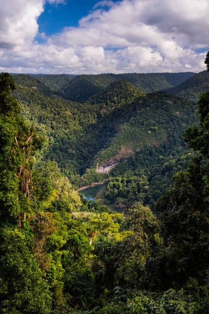 istock North Johnstone River, Atherton Tablelands, Australia 847241454