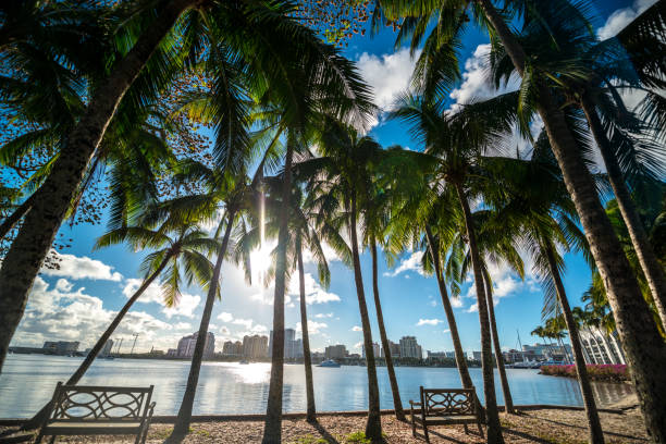 istock Waterfront park in Palm Beach, Florida, USA 847241914