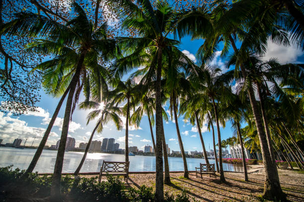 istock Waterfront park in Palm Beach, Florida, USA 847241978