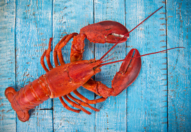 des fruits de mer savoureux servis sur table en bois ancienne - prepared shellfish seafood lobster ice photos et images de collection