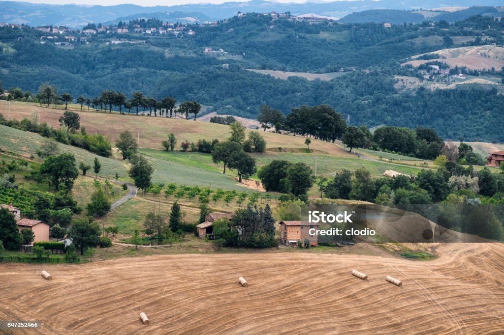 Summer landscape near Serramazzoni (Modena, Italy) Summer  landscape along the road from Serramazzoni to Marano sul Panaro (Modena, Emilia Romagna, Italy) at summer Agricultural Field Stock Photo