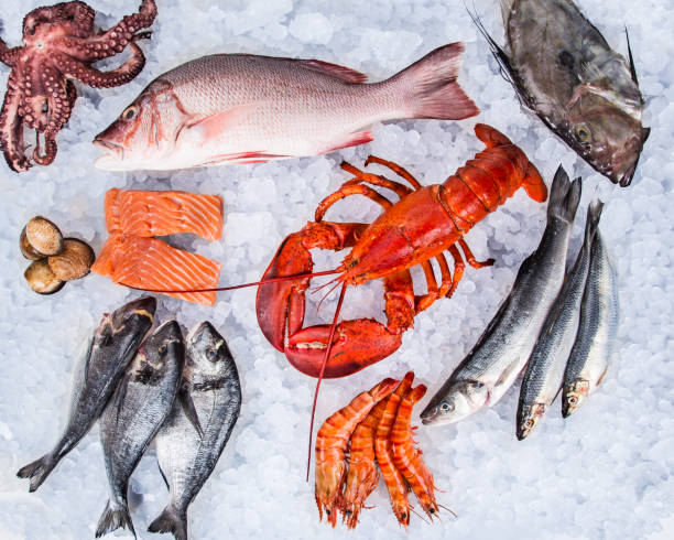istock Fresh tasty seafood served on old wooden table 847256118