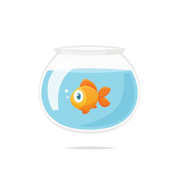 cartoon-goldfisch im goldfischglas vektor - goldfischglas stock-grafiken, -clipart, -cartoons und -symbole