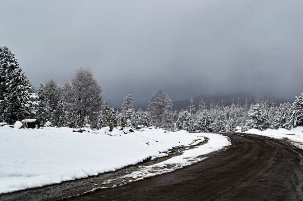 istock Winter road in a snow-covered forest in cloudy weather 847272554
