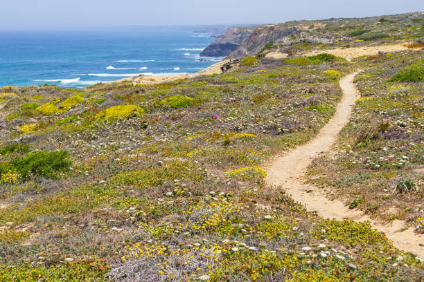 istock Trail, Cliffs, beach and waves in Arrifana 847275530