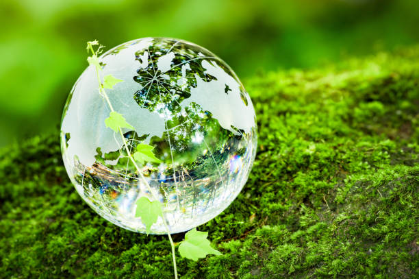 istock MOSS and glass globes 847276938