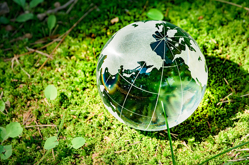 Glass globe photographed in a moth forest