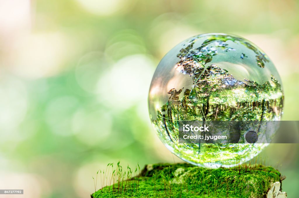 Globes de verre et de mousse - Photo de Globe terrestre libre de droits