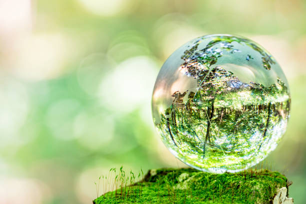 MOSS and glass globes Glass globe photographed in a moth forest crystal photos stock pictures, royalty-free photos & images