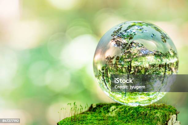 Moss And Glass Globes Stock Photo - Download Image Now - Globe - Navigational Equipment, Nature, Planet Earth