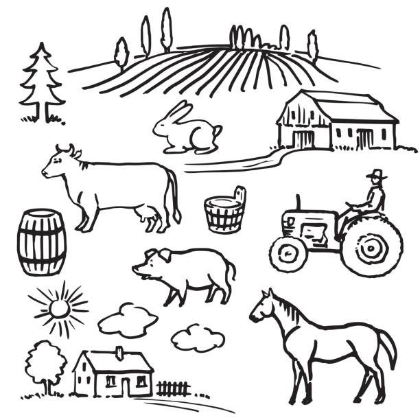 Farm. Farm. Hand drawn set. farmer drawings stock illustrations