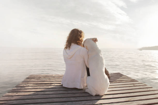 여자와 그녀의 강아지 경치를 함께 감탄 - lake dusk horizontal italy 뉴스 사진 이미지
