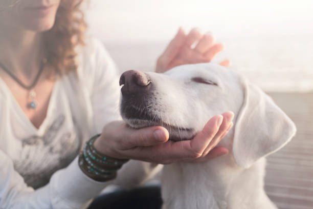woman gently caresses her dog