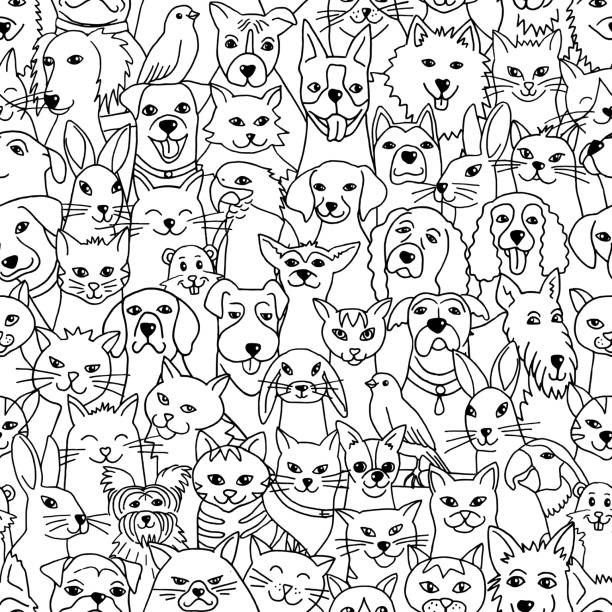 ilustraciones, imágenes clip art, dibujos animados e iconos de stock de patrón sin costuras de mascotas - dog domestic cat group of animals pets