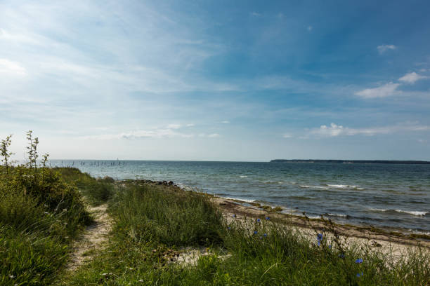 istock Sea in Denmark during summer 847296256