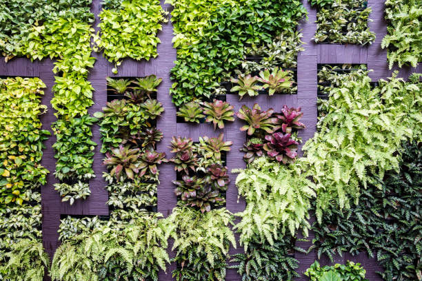 istock Wall decoration of vertical garden 847300678