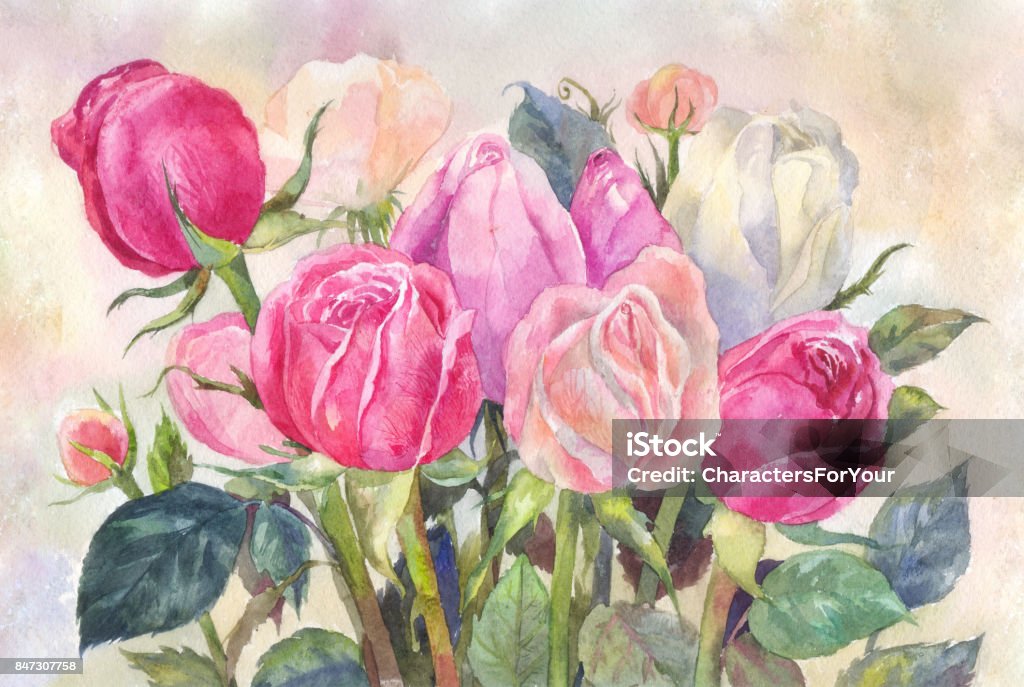 Pink Roses Watercolor Illustration Stock Illustration - Download Image ...