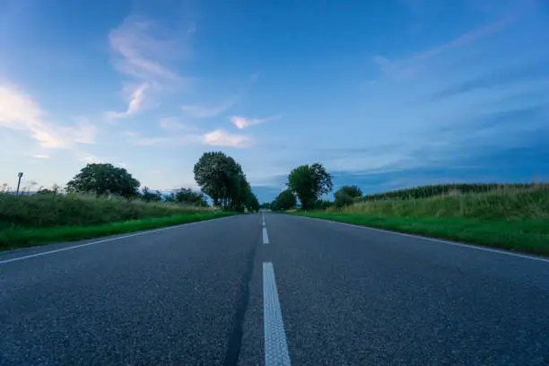 Endless straight street through alley of green trees at dawn with medial strip