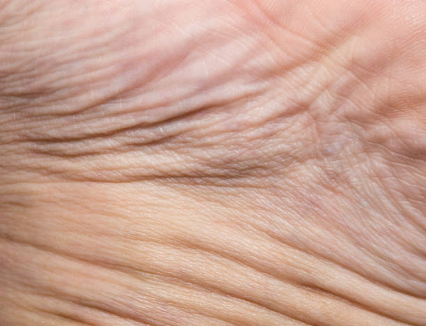 istock Background of the human skin. macro 847316472