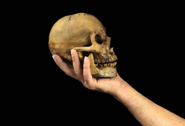 Photo of Holding human skull in hand. Conceptual image.( Shakespeare's Hamlet scene concept )