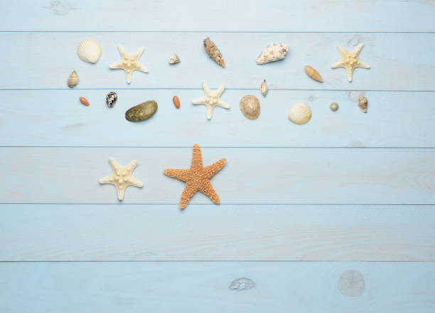 istock Seashells, starfish and sea shells on blue wooden background 847321428