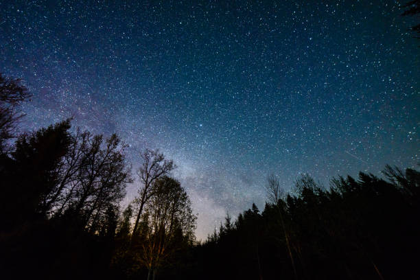 istock colorful milky way galaxy seen in night sky through black trees 847322346