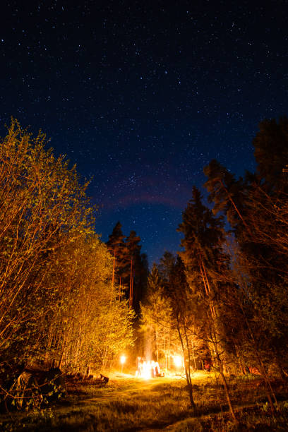 istock colorful milky way galaxy seen in night sky through black trees 847322398