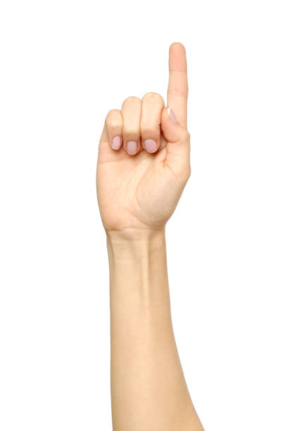 포인팅, 감동, 누르거나 계산 흰색 절연 백인 여자의 손 - number 1 human hand sign index finger 뉴스 사진 이미지