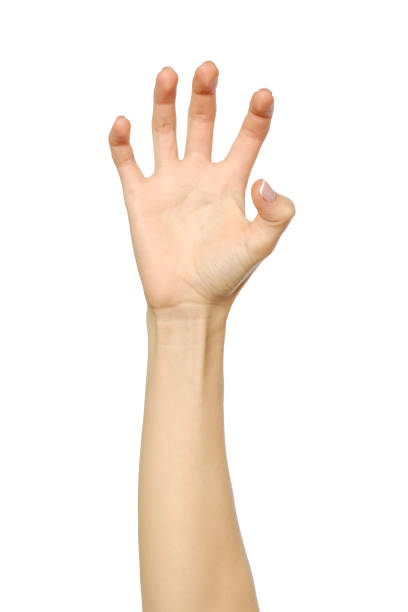 istock Female hand reaching for something isolated on white 847322426