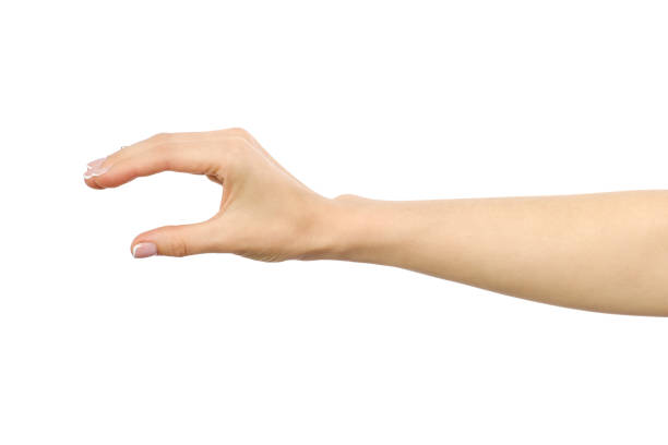 istock Woman's hand grabbing or measuring something isolated on white 847322460