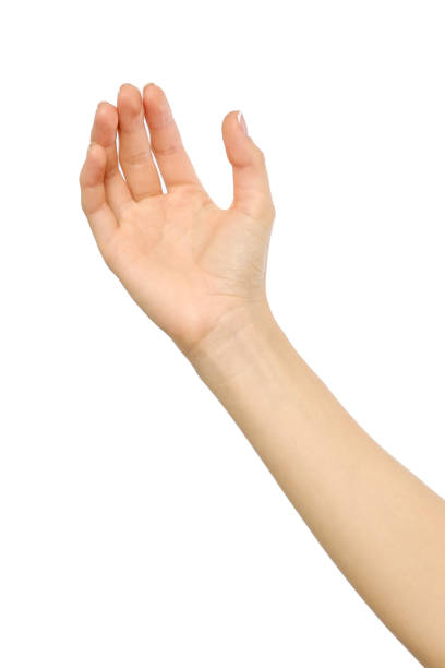 istock Woman's stretched hand with open palm isolated on white 847322466