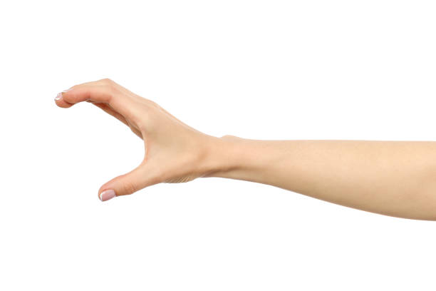 istock Woman's hand grabbing or measuring something isolated on white 847322468