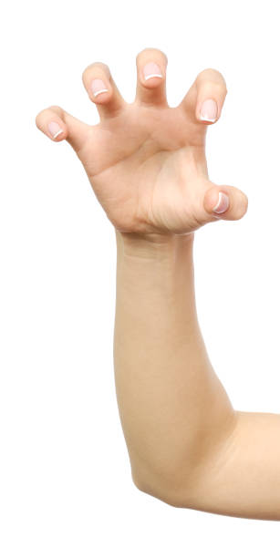 istock Female hand reaching for something isolated on white 847322484