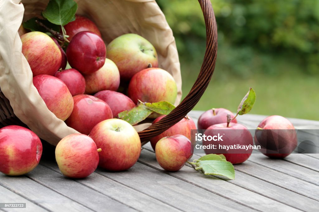 Organic red apples in a basket on the old table Organic red apples in a basket on the old table close up image Apple - Fruit Stock Photo