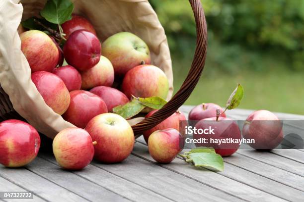 Organic Red Apples In A Basket On The Old Table Stock Photo - Download Image Now - Apple - Fruit, Autumn, Picking - Harvesting